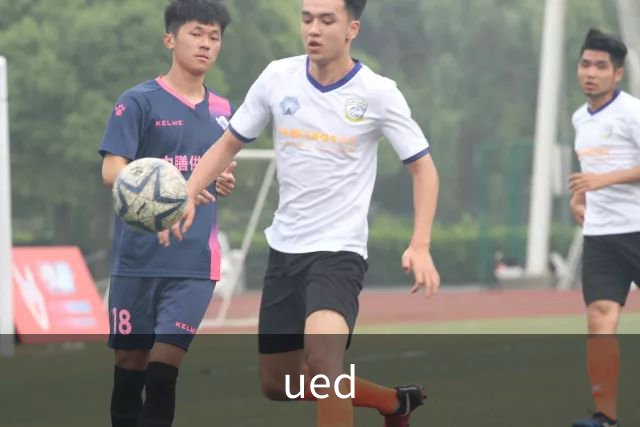 ued公司简介